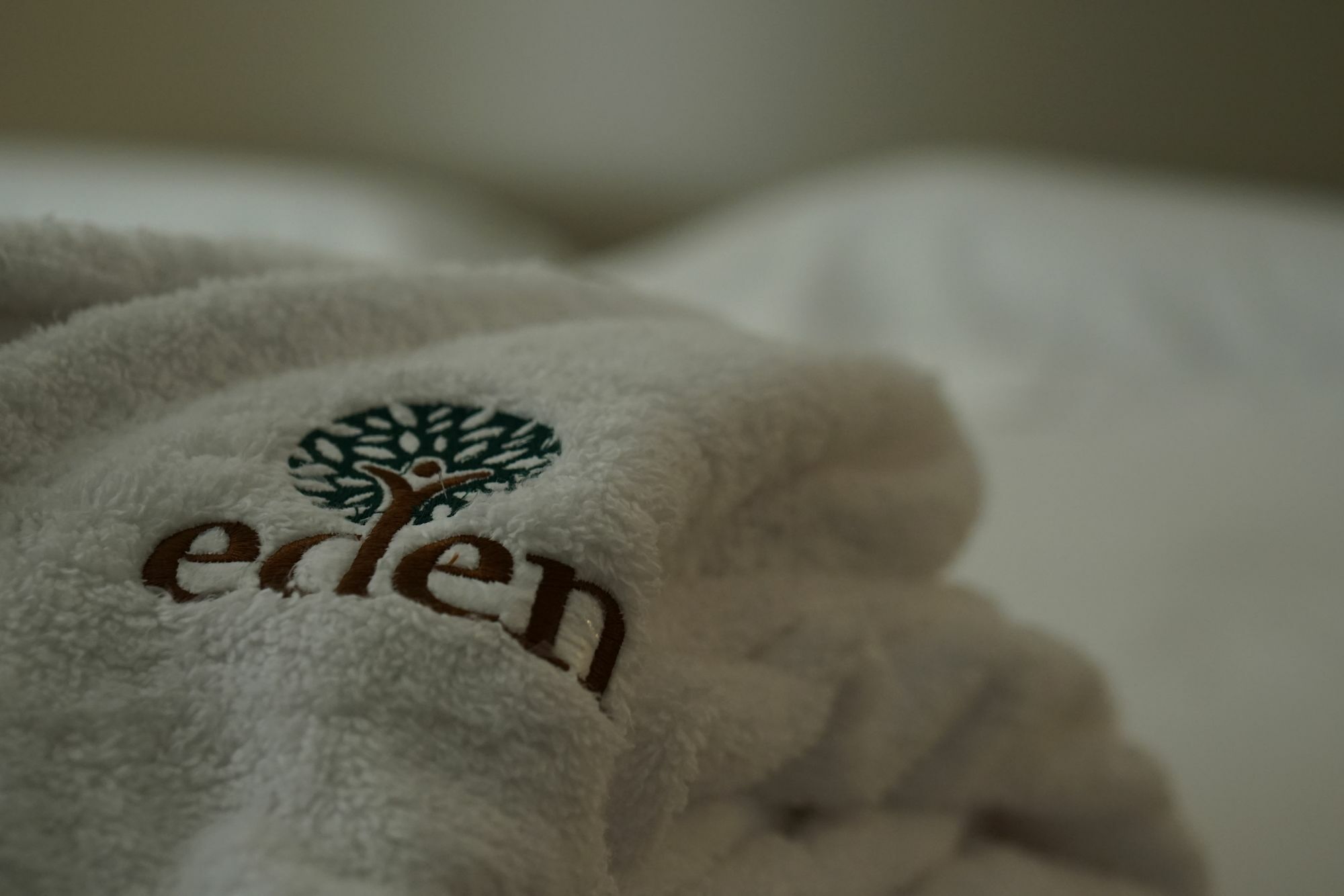 Eden Resort Wellness Rehabilitation Terszefánu Kültér fotó